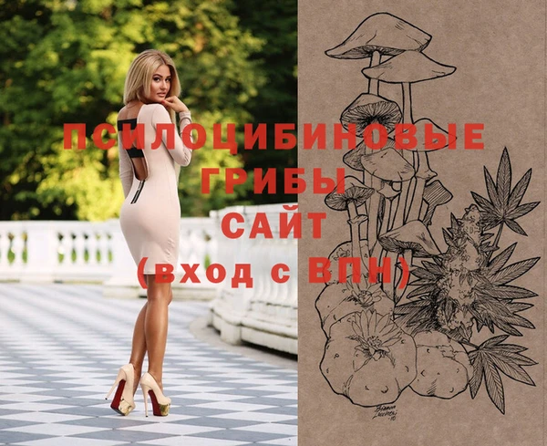 ГАЛЛЮЦИНОГЕННЫЕ ГРИБЫ Лиски