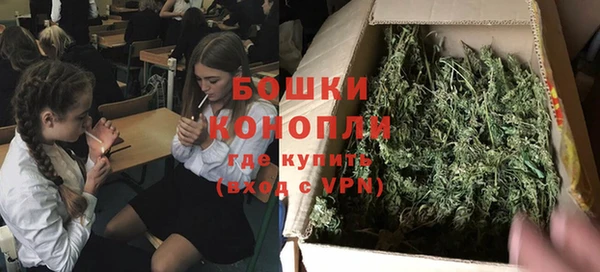 ГАЛЛЮЦИНОГЕННЫЕ ГРИБЫ Лиски