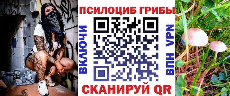 где можно купить   Лобня  Галлюциногенные грибы Cubensis 