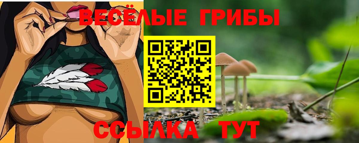 Псилоцибиновые грибы GOLDEN TEACHER  Вход с VPN  Псилоцибиновые грибы GOLDEN TEACHER  Лобня 